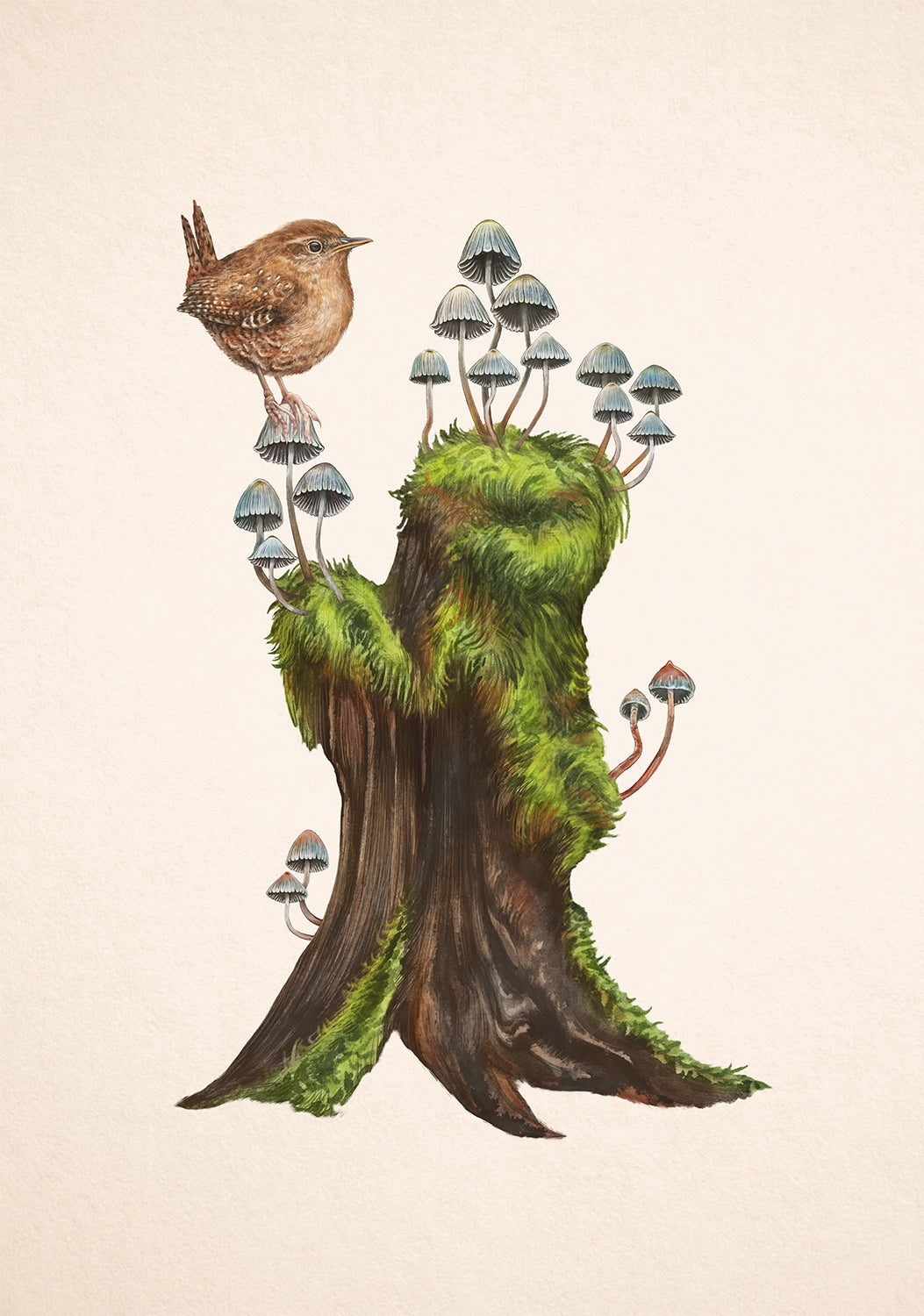 Fairy Inkcap Stump with Wren