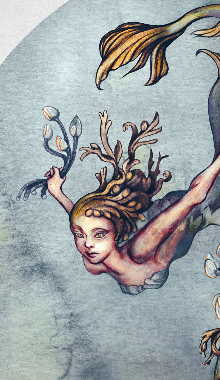 The Kelp Mermaids