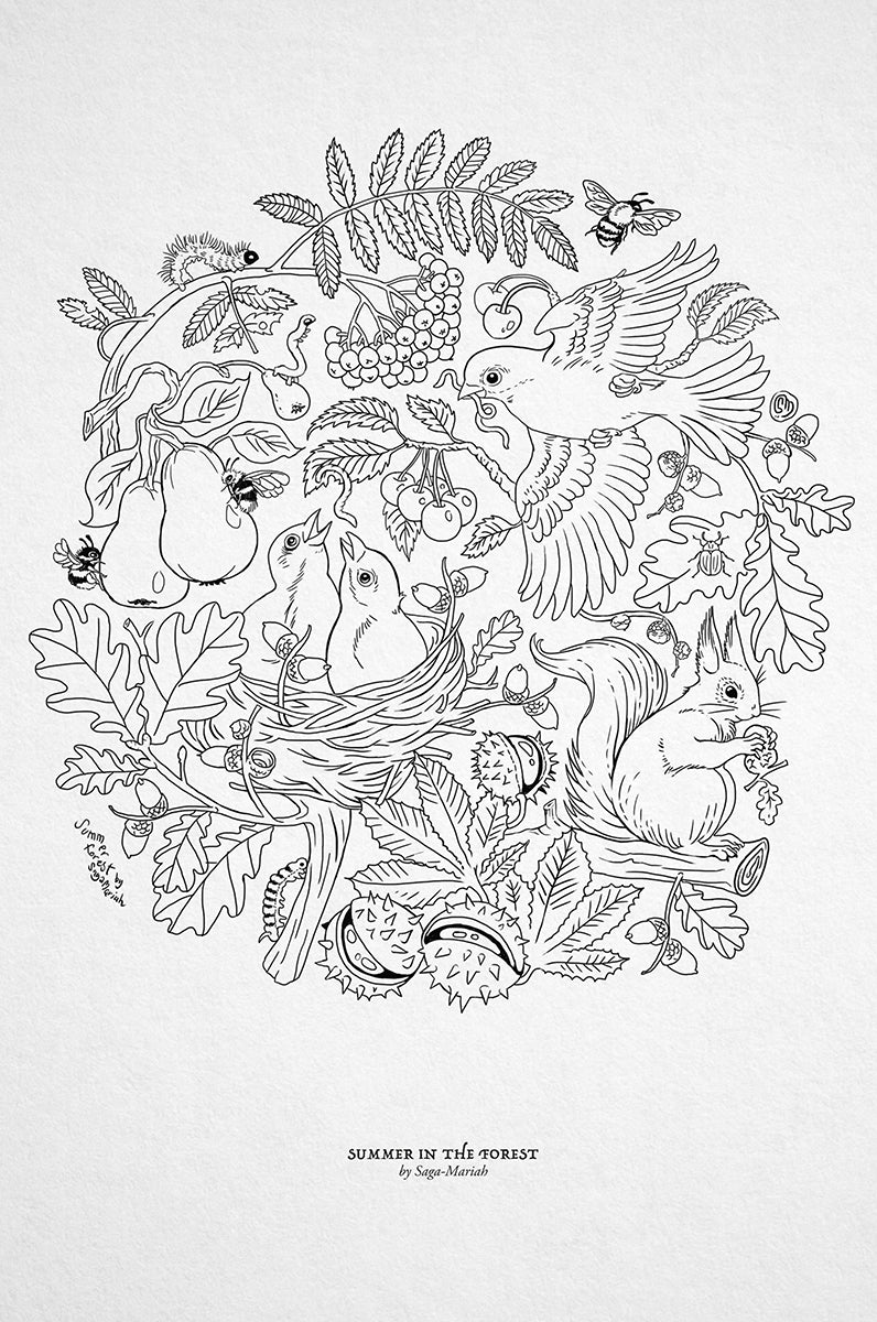 Colouring Page Summer in the Forest