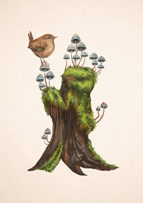 Fairy Inkcap Stump with Wren