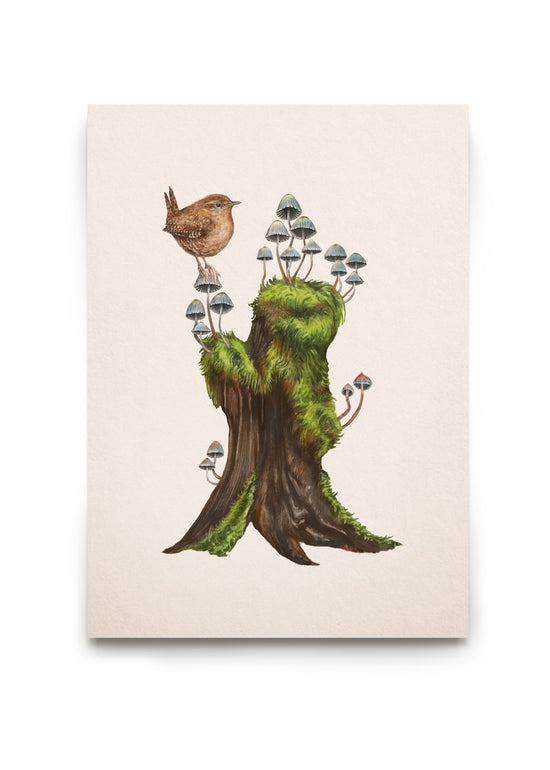 Fairy Inkcap Stump with Wren
