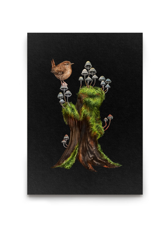 Fairy Inkcap Stump with Wren Night