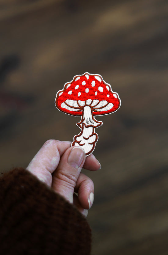 Jolly Amanita Patch