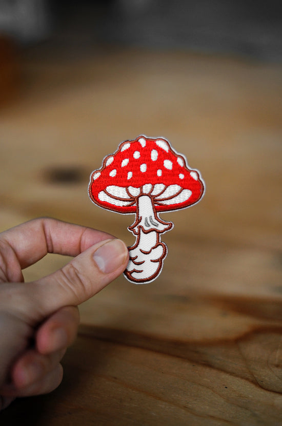 Jolly Amanita Patch