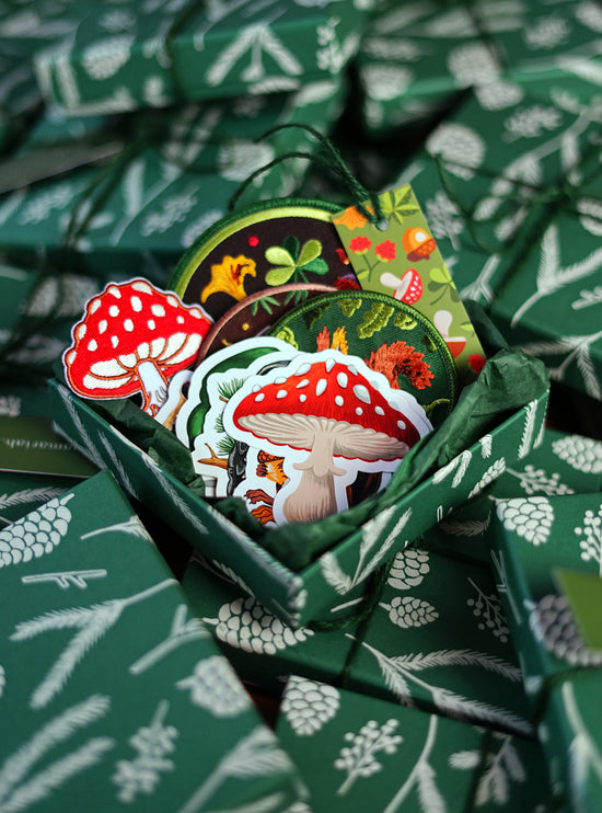 The Forest Box