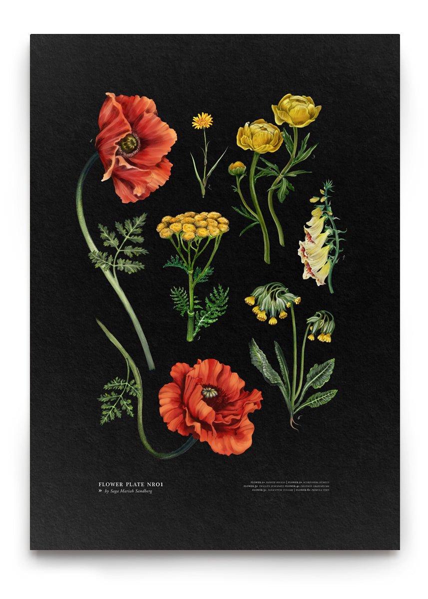 Load image into Gallery viewer, FLOWER PLATE NO1
