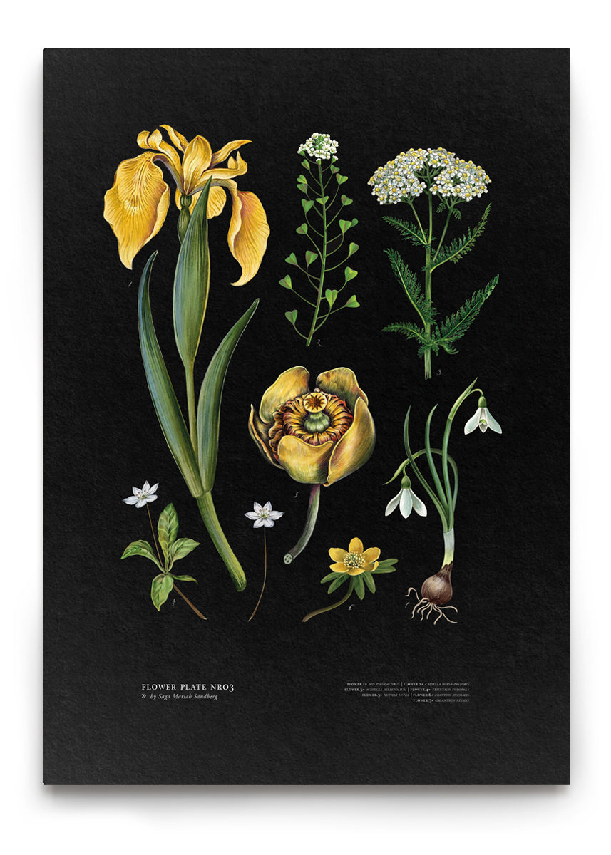 Load image into Gallery viewer, FLOWER PLATE NO3
