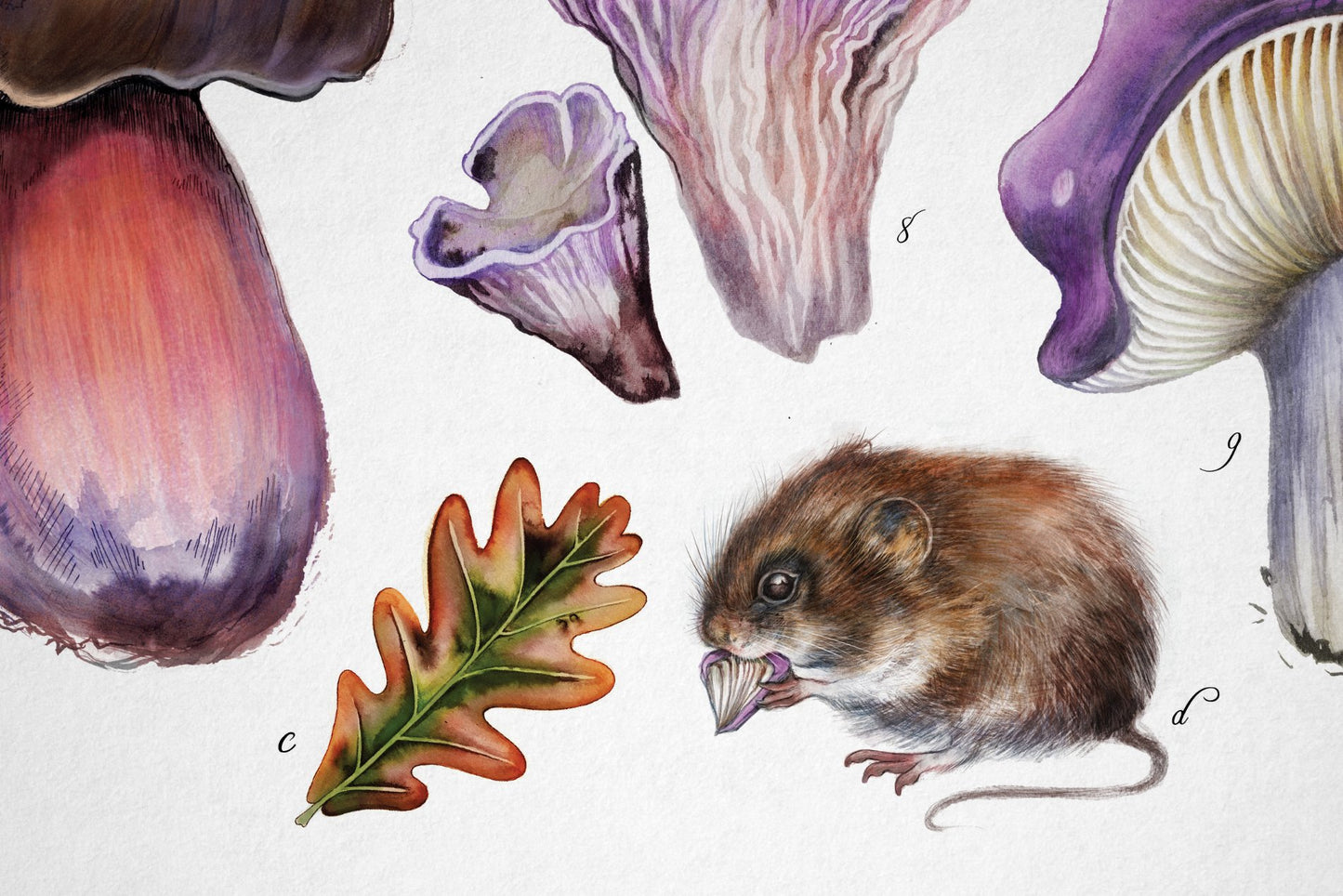 Shroopus Peculiar Shrooms Poster – Saga Mariah Shop