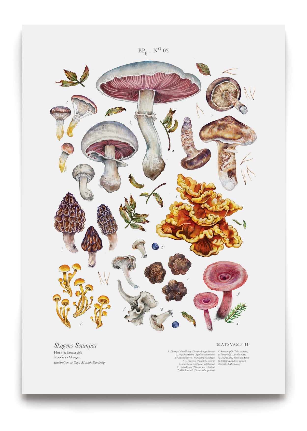 Load image into Gallery viewer, Edible Mushrooms II
