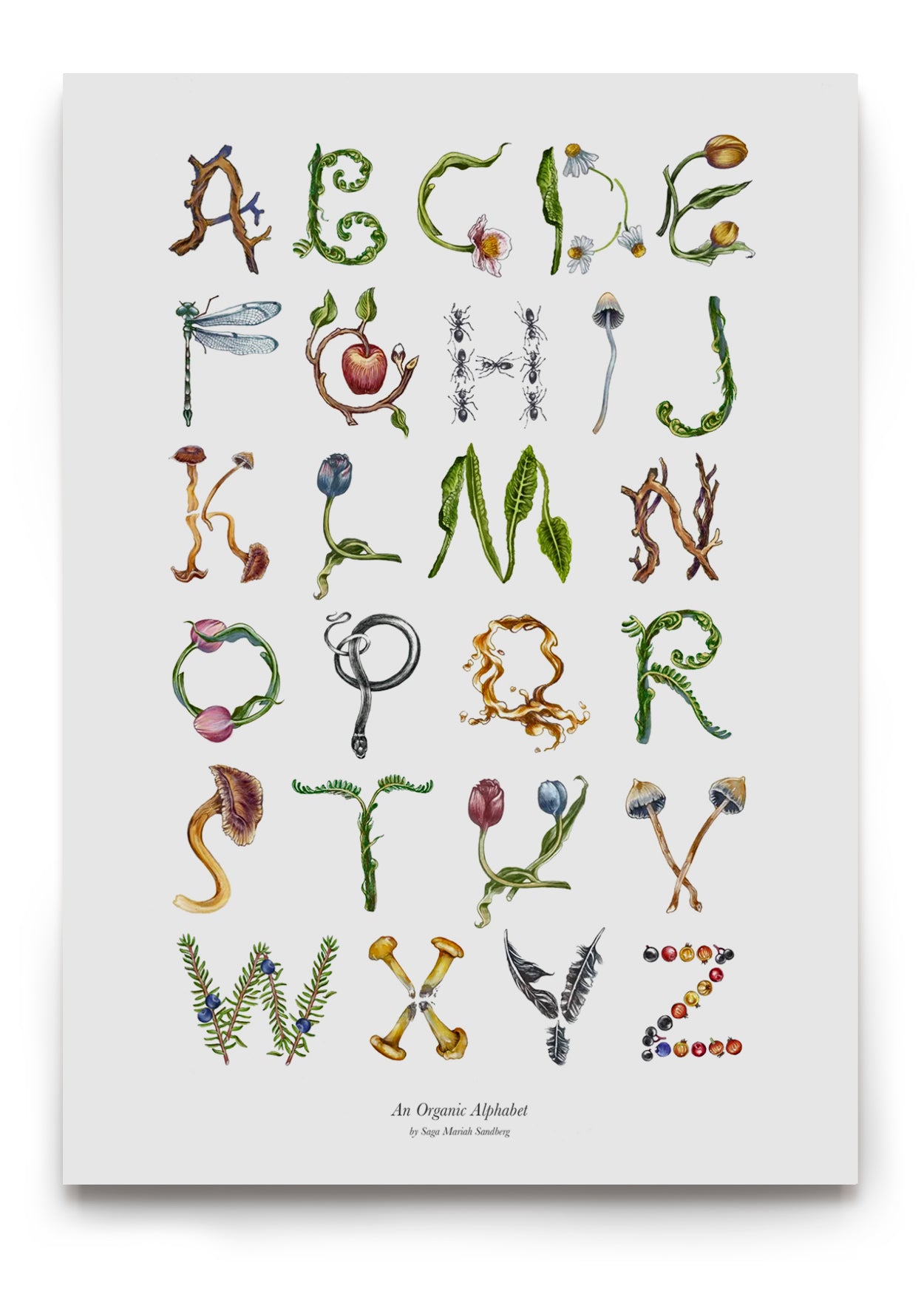 Whimsical Botanical Alphabet