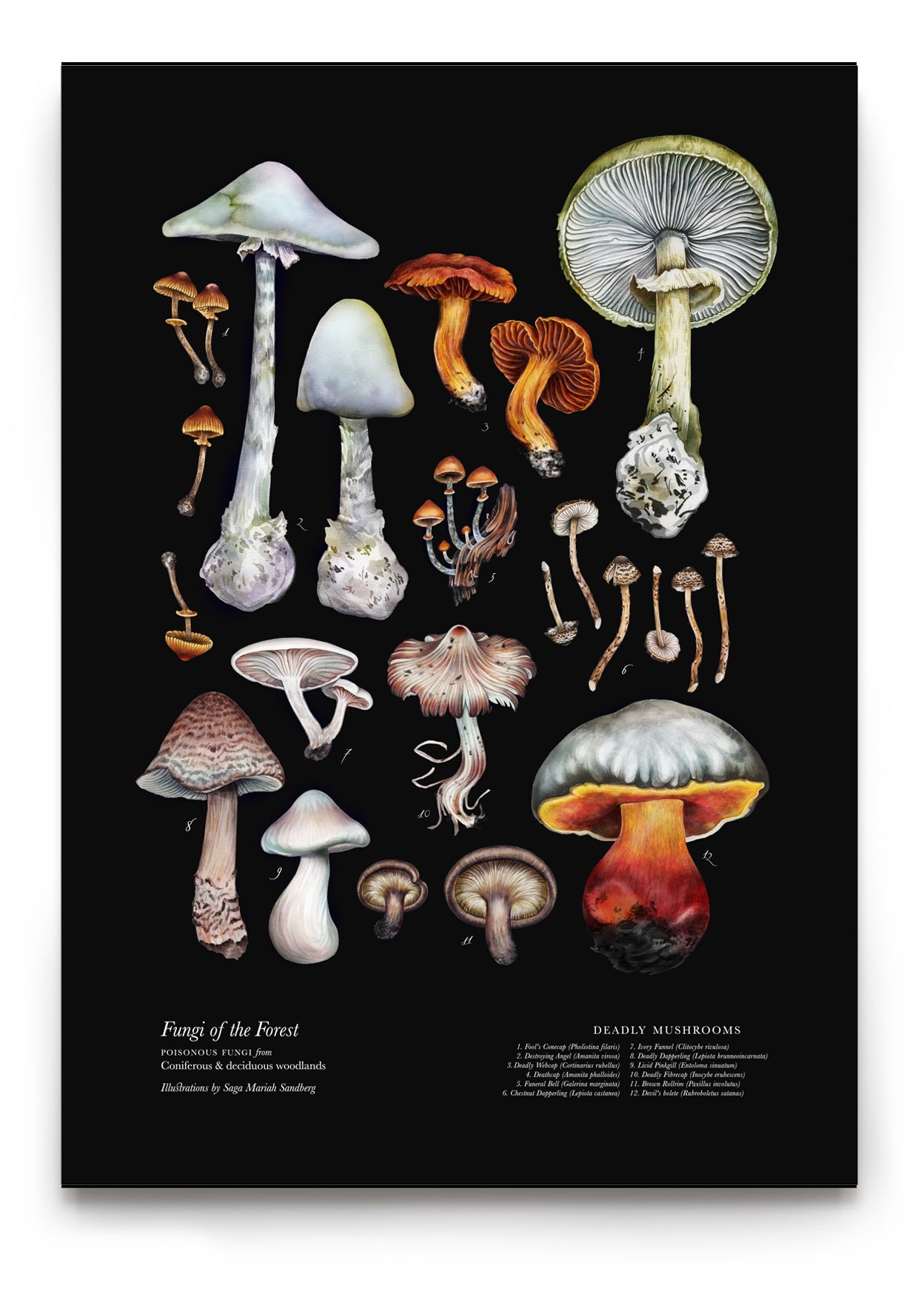 Deadly Mushrooms