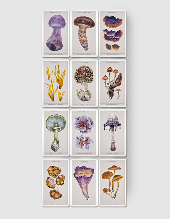 FUNGI CARDS 1