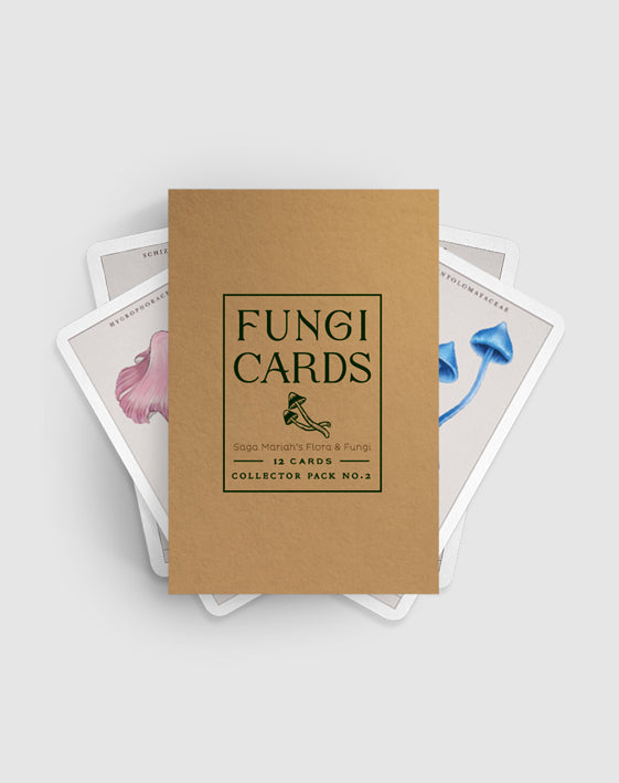 FUNGI CARDS 2