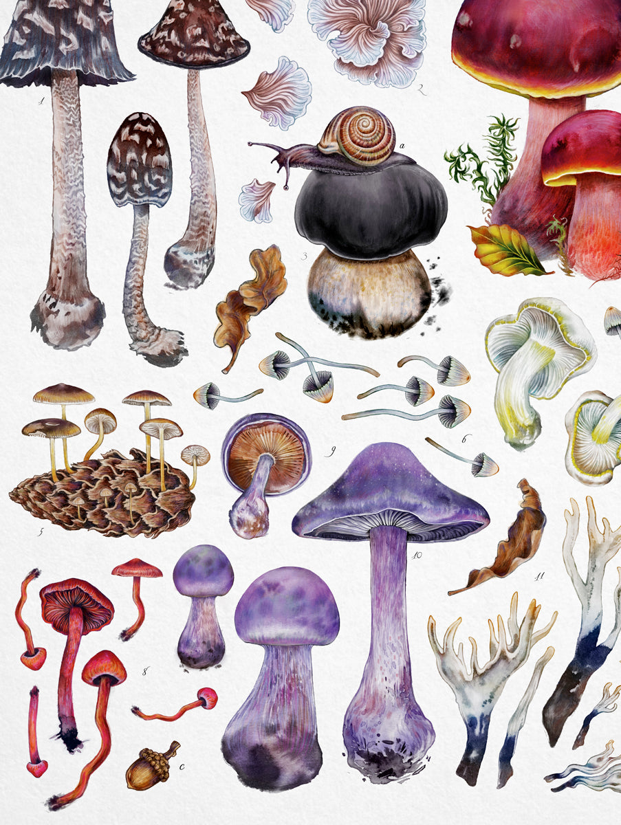 Peculiar Shrooms II