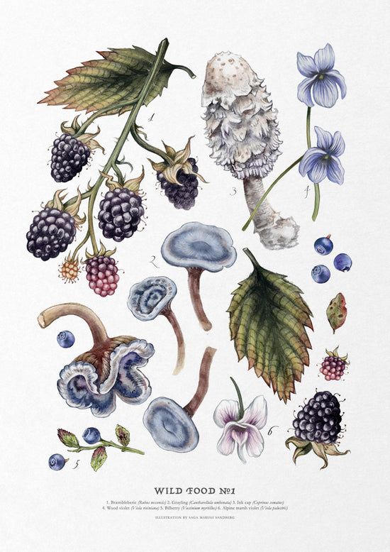 Wild Food Print I