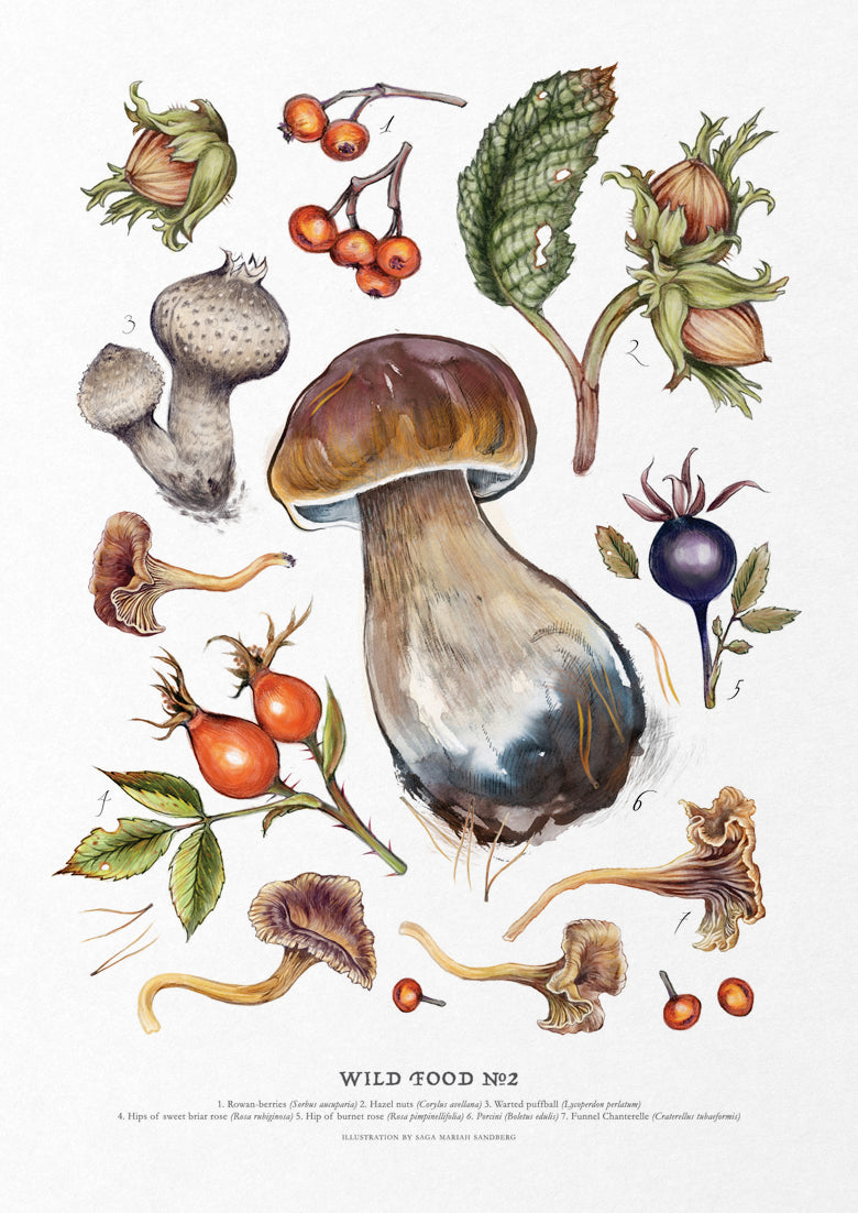 Wild Food Print II