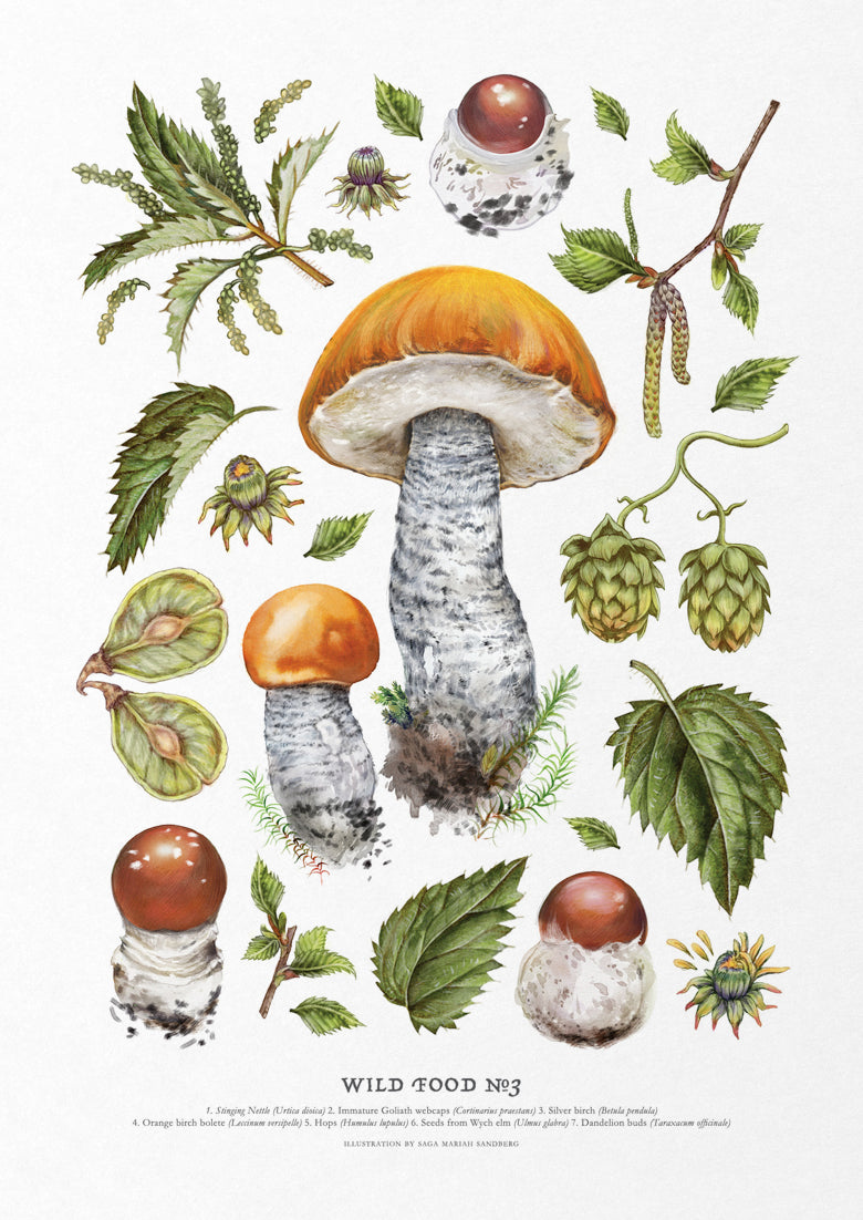 Wild Food Print III