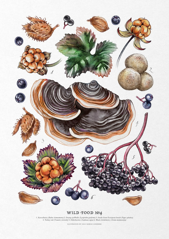 Wild Food Print IV