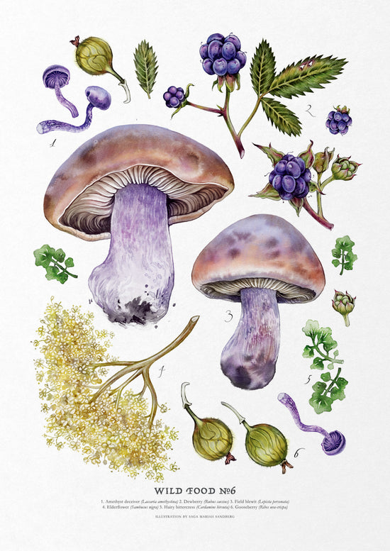 Wild Food Print VI