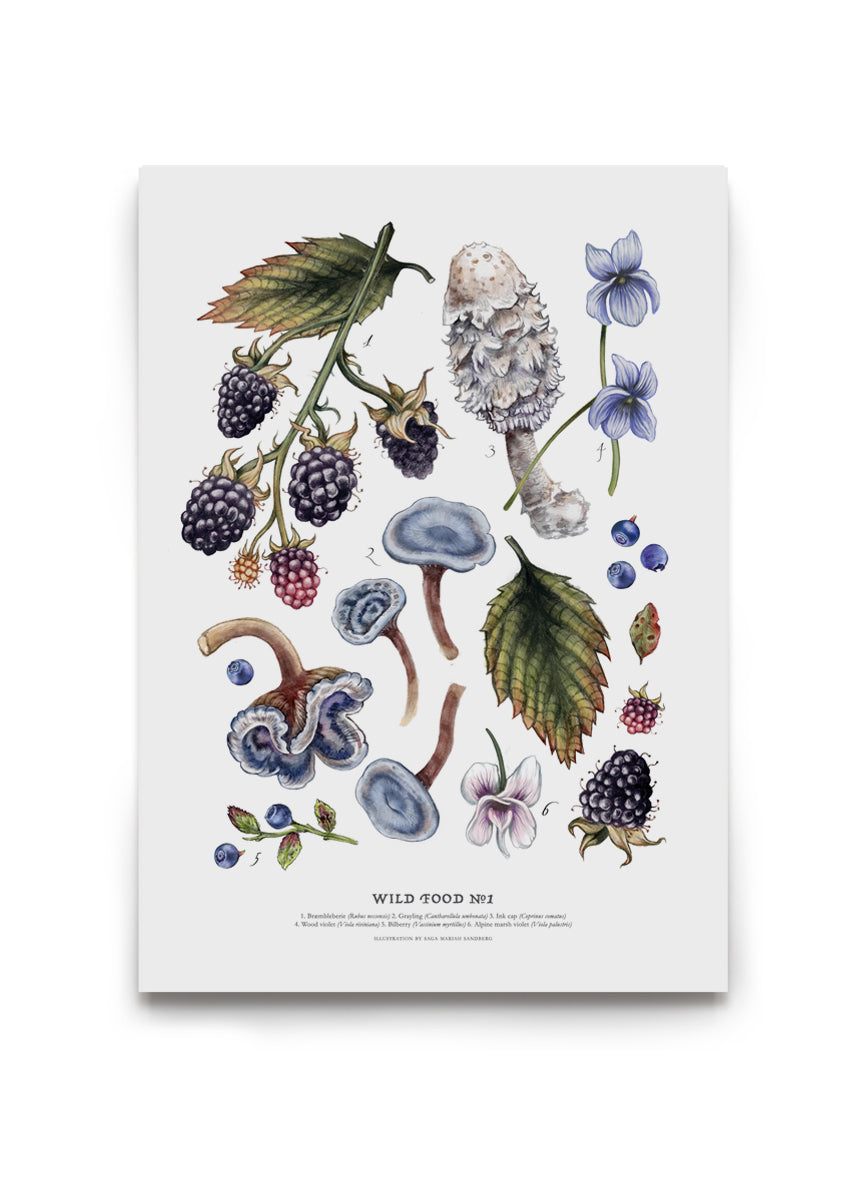 Wild Food Print I