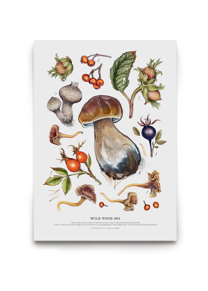 Wild Food Print II