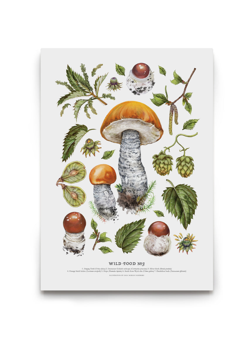 Wild Food Print III