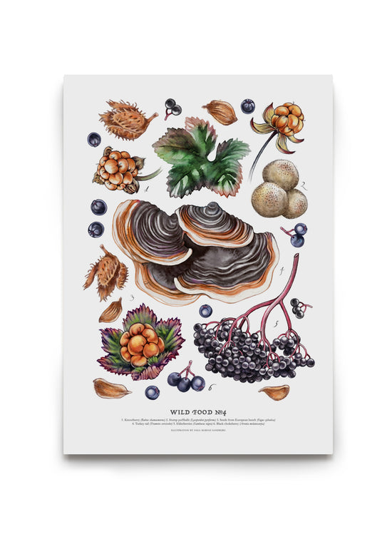 Wild Food Print IV