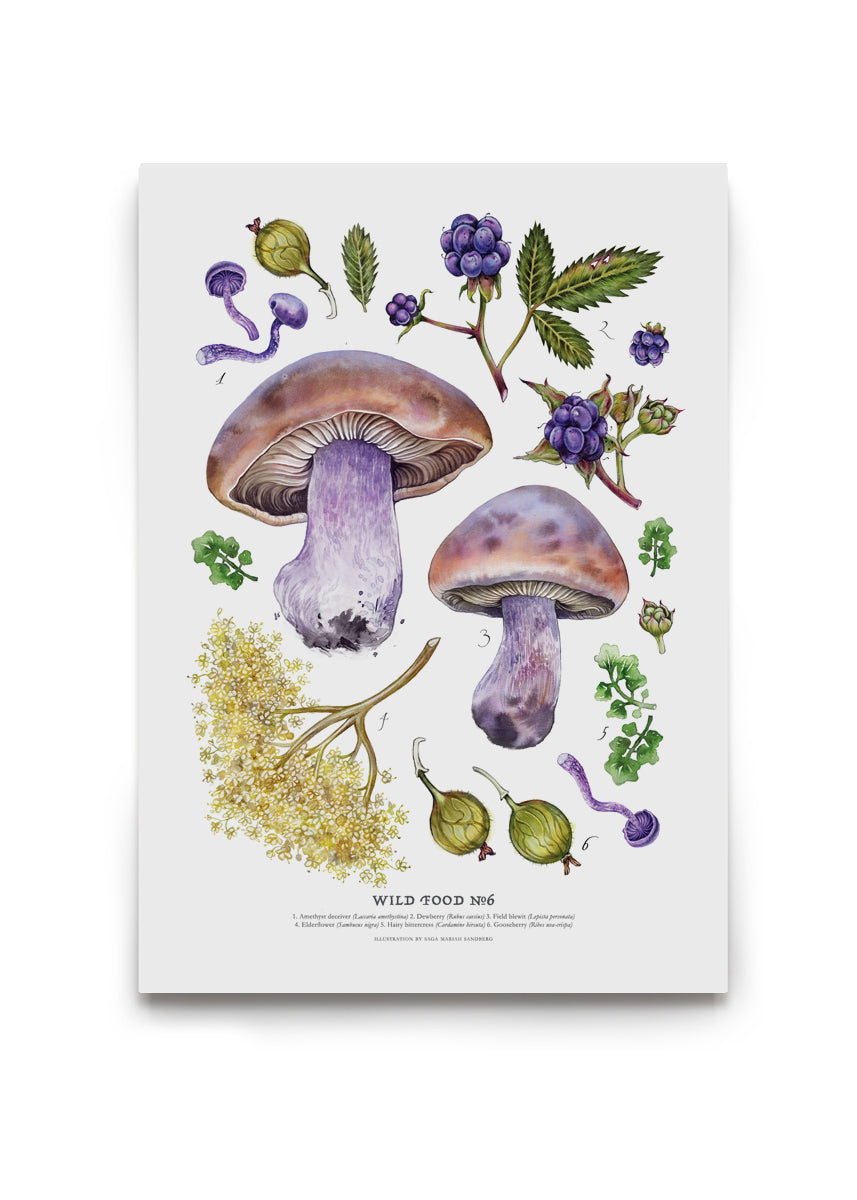 Wild Food Print VI