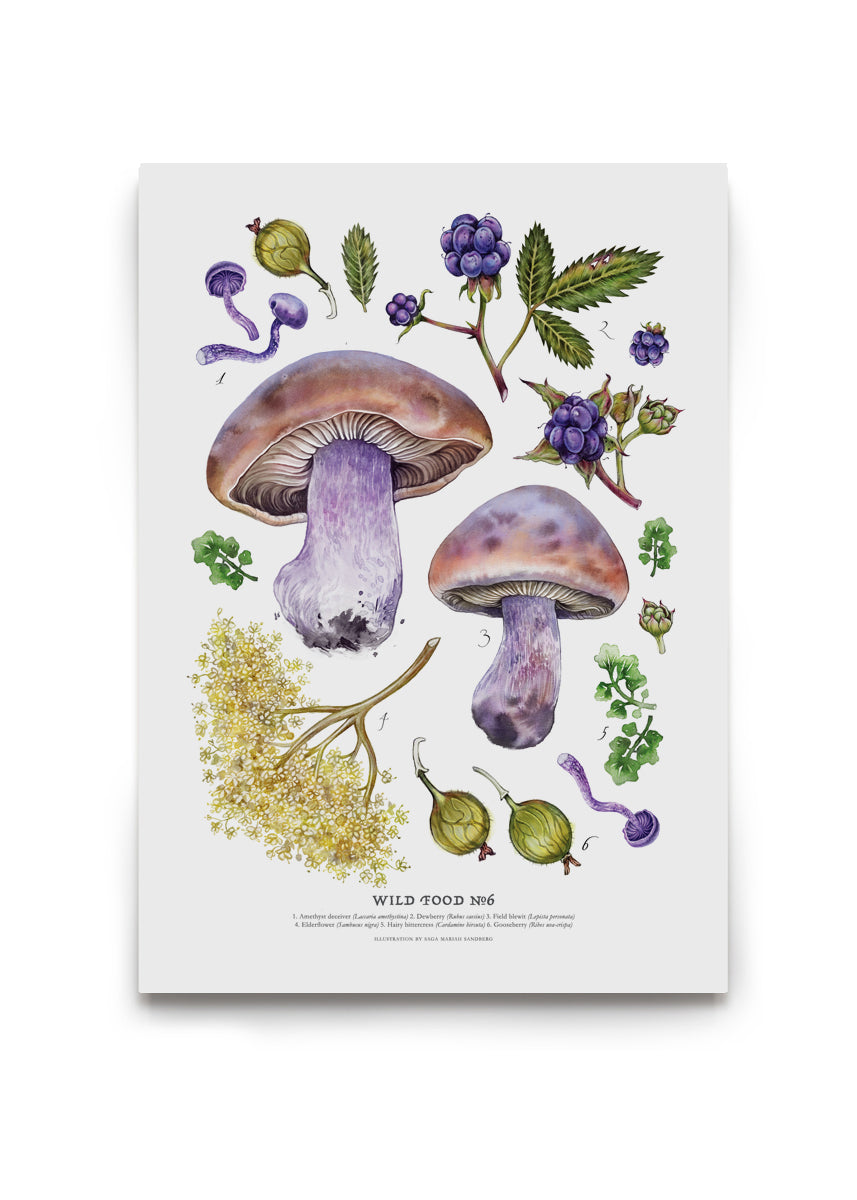 Load image into Gallery viewer, Wild Food Print VI
