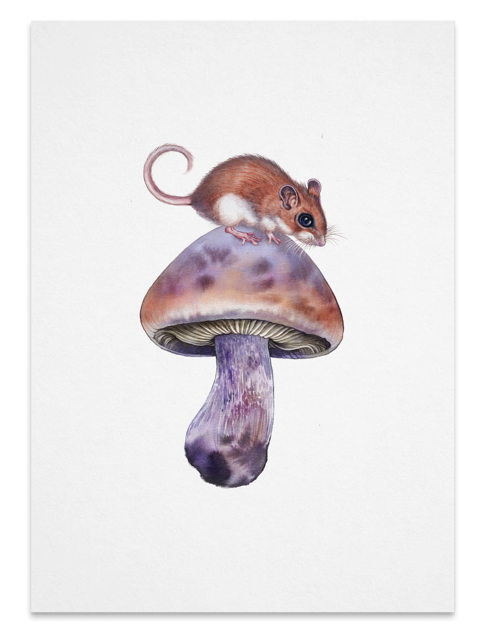 Deer mouse on top of blewit