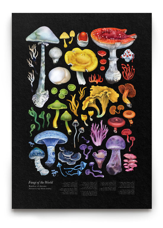 Load image into Gallery viewer, Rainbow of Shrooms Night
