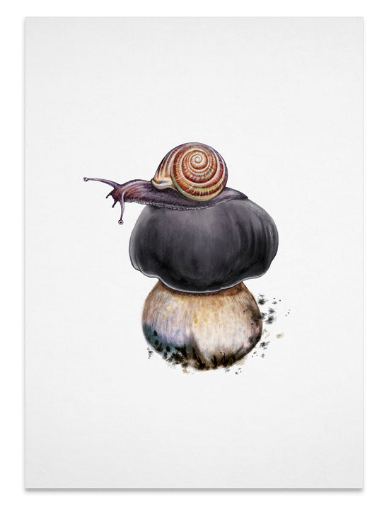 Load image into Gallery viewer, Garden snail on top of queen bolete
