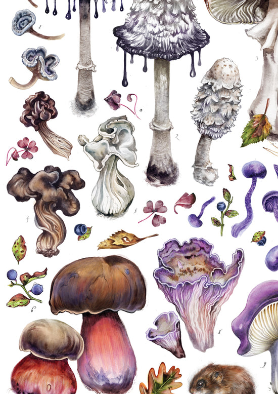 Peculiar Shrooms I