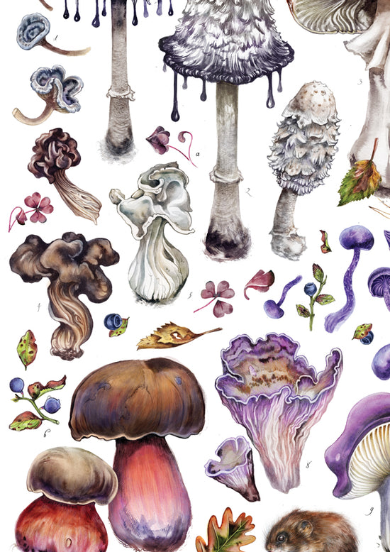 Load image into Gallery viewer, Peculiar Shrooms I
