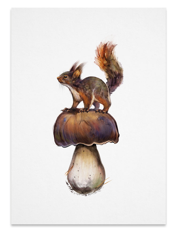 Red squirrel on top of bolete